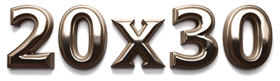 20x30 logo